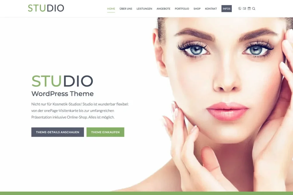 Studio WordPress Theme - Screenshot Startseite