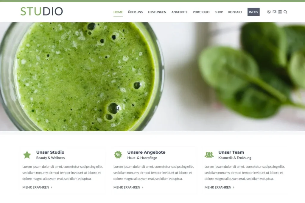 Studio WordPress Theme - Screenshot Startseite