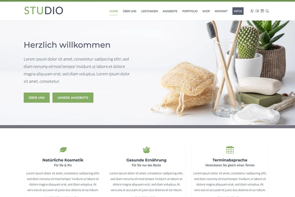 Studio WordPress Theme - Screenshot LandingPage