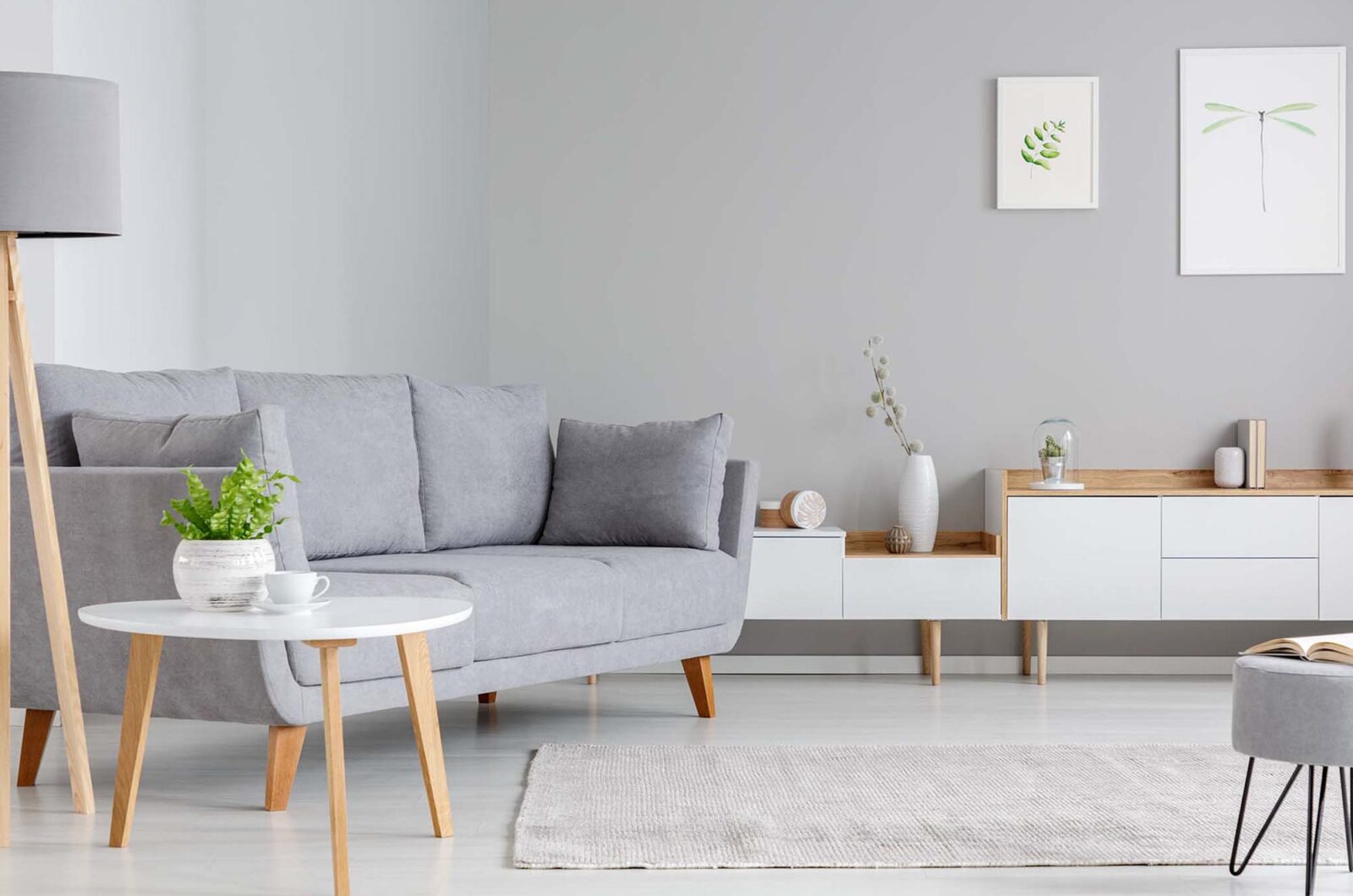 BO HOME - Immobilien Theme für WordPress - Testbild