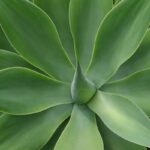 BO Studio WordPress Theme