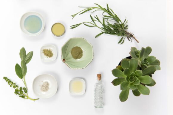 BO Studio WordPress Theme